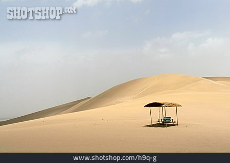
                Sandy Desert, Rest Stop, Gobi                   
