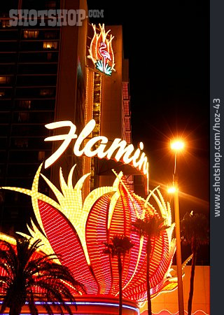
                Hotel, Flamingo Las Vegas                   