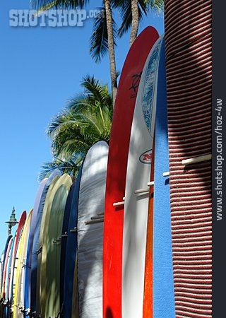 
                Wassersport, Surfen, Surfbrett                   