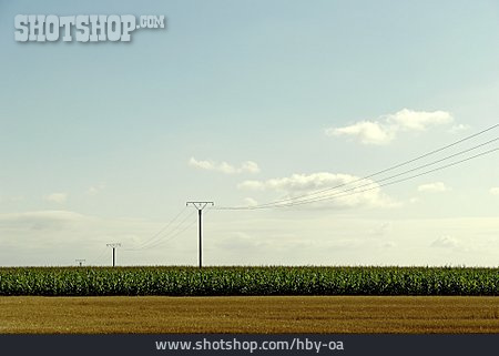 
                Landwirtschaft, Maisfeld, überlandleitung                   