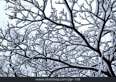 
                Baum, Winter, Schnee, Verschneit                   