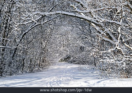 
                Winterlandschaft, Waldweg, Schneespur                   