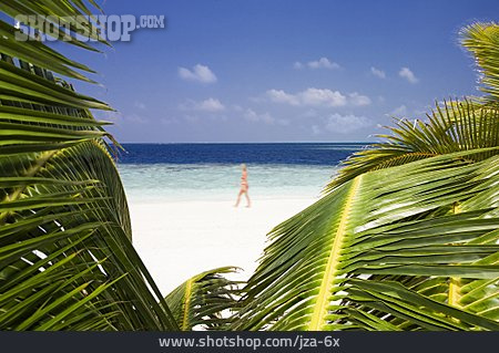
                Karibik, Strandspaziergang, Palmwedel                   