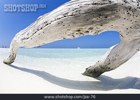 
                Holz, Sandstrand, Malediven                   