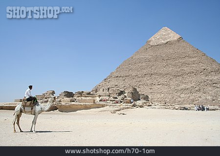 
                ägypten, Pyramide, Kamel                   