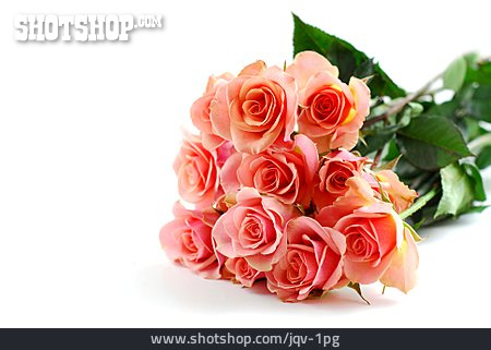 
                Blumenstrauß, Rosenstrauß                   
