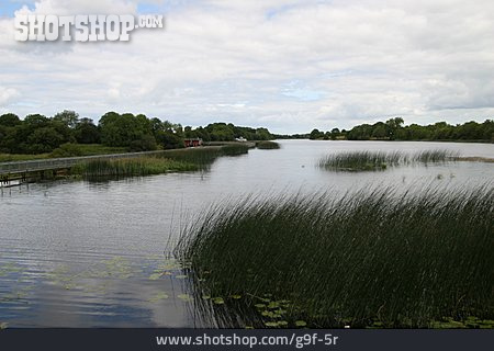 
                Fluss, Flusslandschaft, Irland, Shannon                   