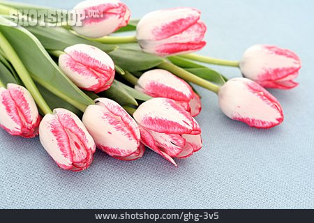 
                Tulpenstrauß, Tulpen                   