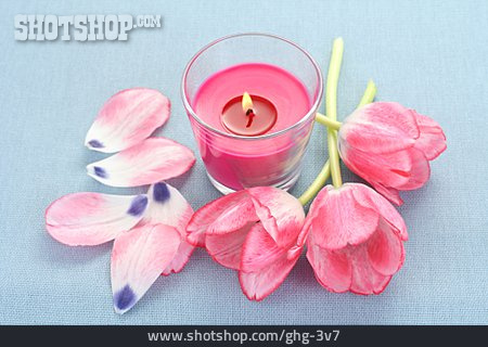 
                Blütenblätter, Kerze, Duftkerze                   
