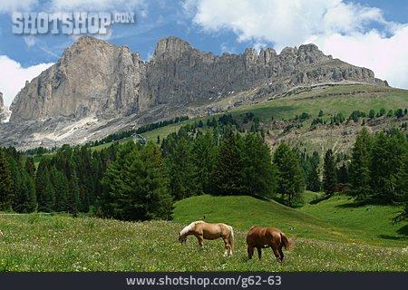 
                Berglandschaft, Südtirol                   