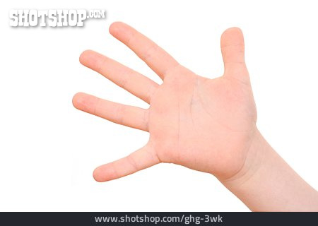 
                Finger, Hand, 5                   