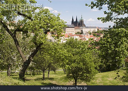 
                Prag, Veitsdom, Tschechische Republik                   