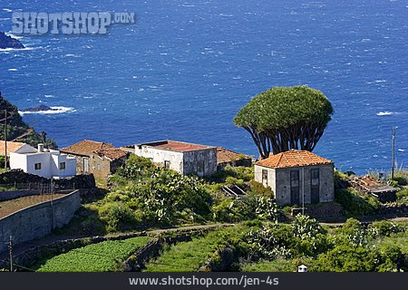 
                Mediterran, La Palma                   