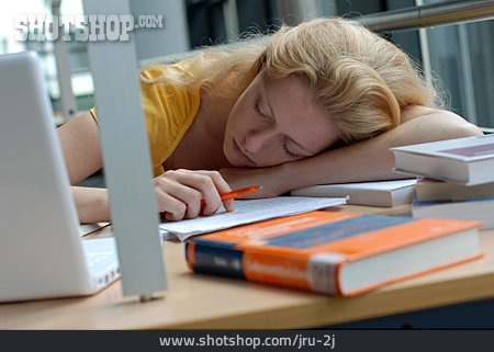 
                Streß & Belastung, Schlafen, Lernen, Faulenzen                   