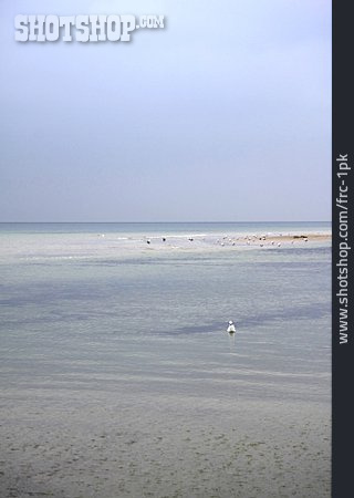 
                Ostseeküste, Sandbank                   