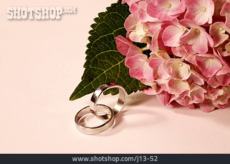 
                Ring, Ehering, Verlobungsring                   