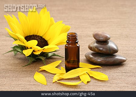 
                Wellness & Relax, Sonnenblume, Blütenblatt, Sonnenblumenöl                   