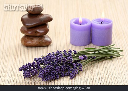
                Wellness & Relax, Lavendelblüte, Lavendelduft                   