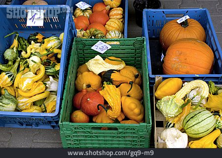 
                Pumpkin, Ornamental Gourd, Market Stall                   