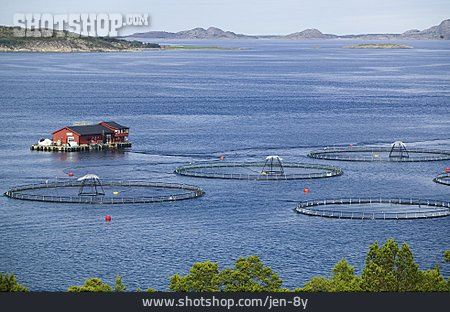 
                Fischzucht, Fischfarm, Aquakultur, Netzgehege                   