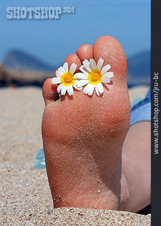 
                Fuß, Strandurlaub                   