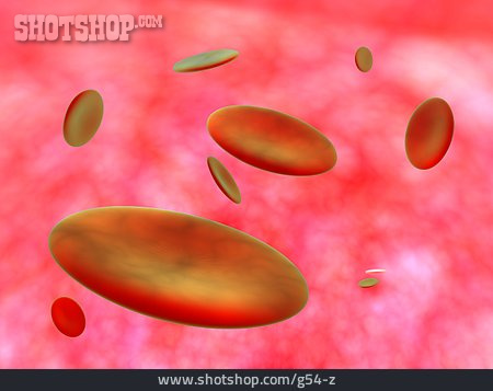 
                Rot, Illustration, Rote Blutkörperchen, Hämoglobin                   