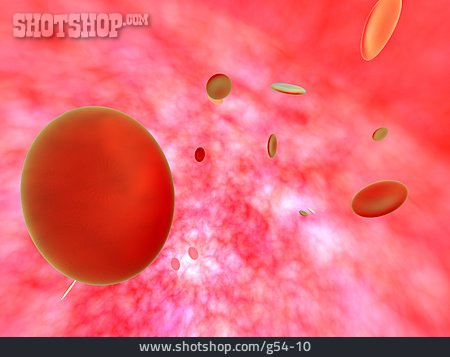
                Rot, Illustration, Rote Blutkörperchen, Hämoglobin                   