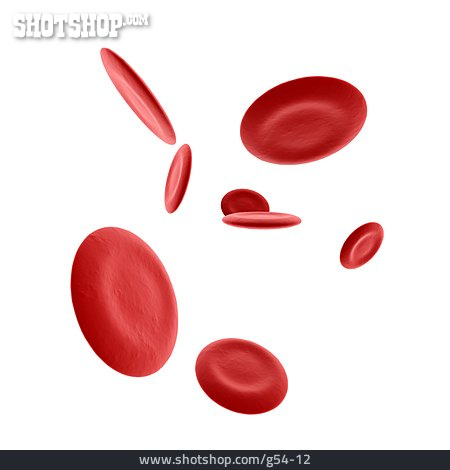 
                Illustration, Rote Blutkörperchen, Hämoglobin                   
