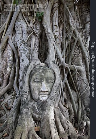 
                Ayutthaya, Buddhastatue, Geschichtspark Ayutthaya                   