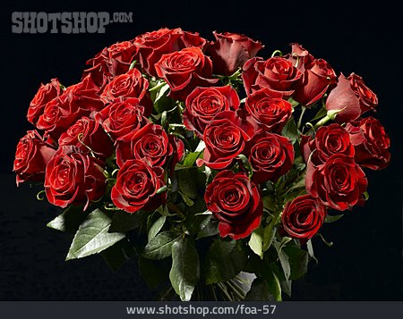 
                Blumenstrauß, Rote Rose, Rosenstrauß                   