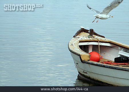 
                Möwe, Fischerboot                   