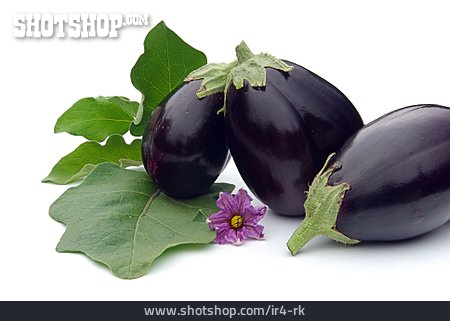 
                Gemüse, Aubergine, Auberginenblüte                   