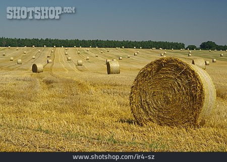 
                Field, Straw Bales                   