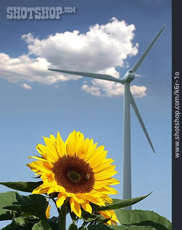 
                Umweltschutz, Windenergie, Alternative Energie                   