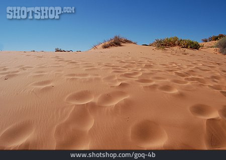 
                Sand, Düne, Coral Pink Sand Dunes                   