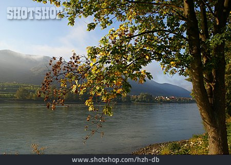 
                Wachau, Donau, Donauufer                   