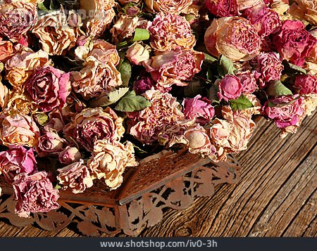 
                Getrocknet, Rosenblüte, Trockenblüte                   