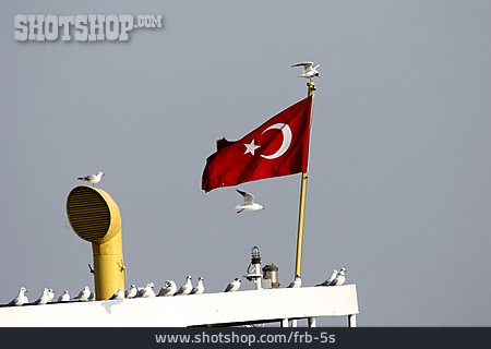 
                Fahne, Möwe, Türkei                   