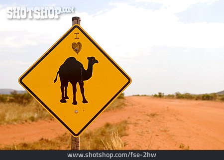 
                Verkehrsschild, Kamel                   