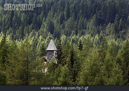 
                Wald, Turm, Nadelwald                   