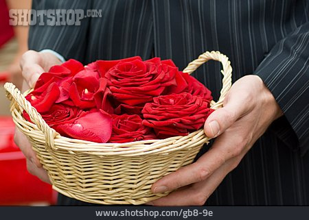 
                Hochzeit, Blütenblatt, Rosenblüte                   