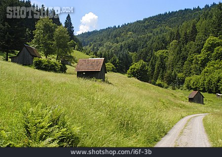 
                Weg, Schwarzwald, Hütte                   