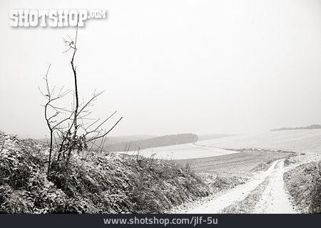
                Winterlandschaft, Verschneit, Feldweg, Neblig                   