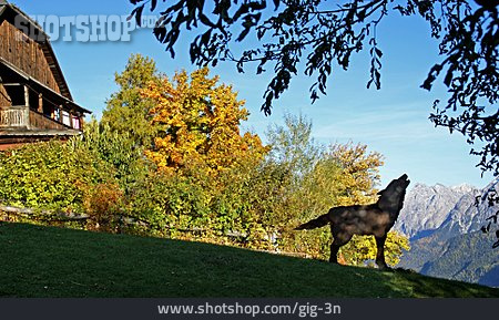 
                Silhouette, Wolf, Herbstlandschaft, Wolfskulptur                   