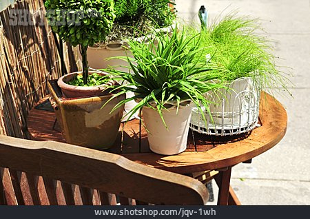 
                Topfpflanze, Gartentisch, Gartenmöbel                   