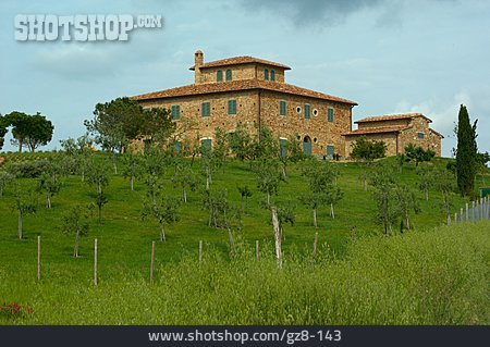 
                Wohnhaus, Toskana, Plantage                   