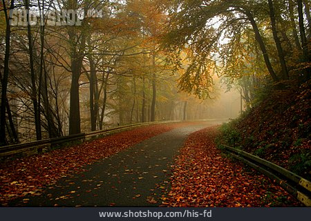 
                Herbst, Straße, Landstraße                   
