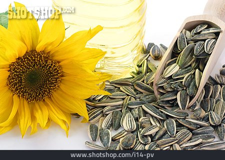 
                Sonnenblume, Sonnenblumenkerne, Sonnenblumenöl                   