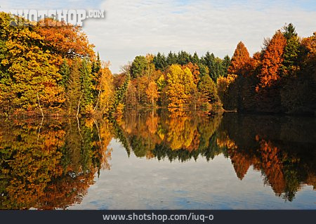 
                See, Wald, Herbstlich                   