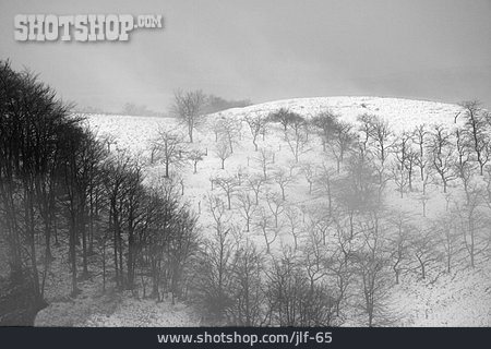 
                Winterlandschaft, Nebel, Diesig                   